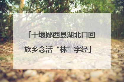 十堰郧西县湖北口回族乡念活“林”字经