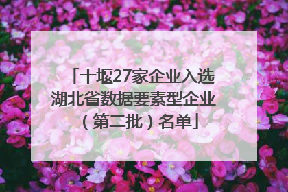 十堰27家企业入选湖北省数据要素型企业（第二批）名单