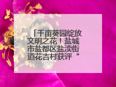 千亩葵园绽放文明之花！盐城市盐都区盐渎街道花吉村获评“全国文明村”