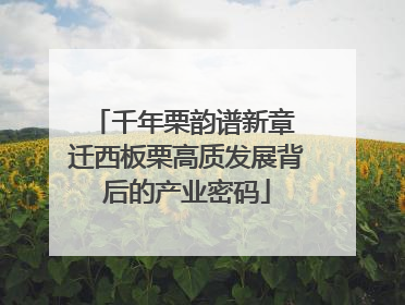 千年栗韵谱新章 迁西板栗高质发展背后的产业密码