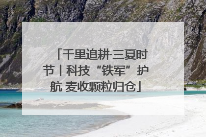 千里追耕·三夏时节丨科技“铁军”护航 麦收颗粒归仓