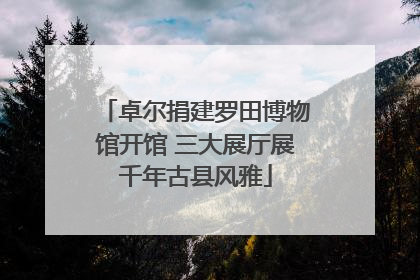 卓尔捐建罗田博物馆开馆 三大展厅展千年古县风雅
