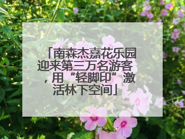 南森杰嘉花乐园迎来第三万名游客，用“轻脚印”激活林下空间