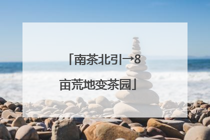 南茶北引→8亩荒地变茶园