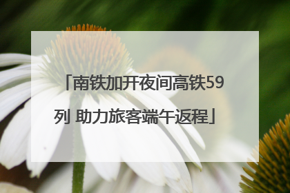 南铁加开夜间高铁59列 助力旅客端午返程