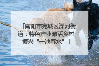 南阳市宛城区溧河街道：特色产业激活乡村振兴“一池春水”
