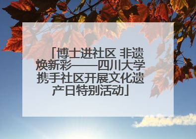 博士进社区 非遗焕新彩——四川大学携手社区开展文化遗产日特别活动
