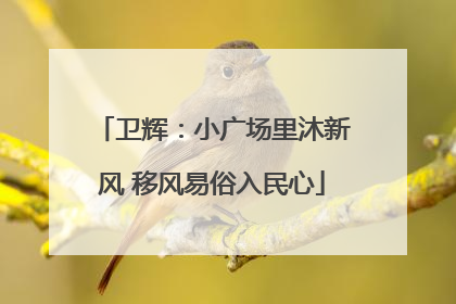 卫辉：小广场里沐新风 移风易俗入民心