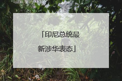 印尼总统最新涉华表态