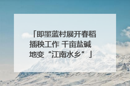 即墨蓝村展开春稻插秧工作 千亩盐碱地变“江南水乡”