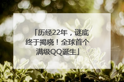 历经22年，谜底终于揭晓！全球首个满级QQ诞生