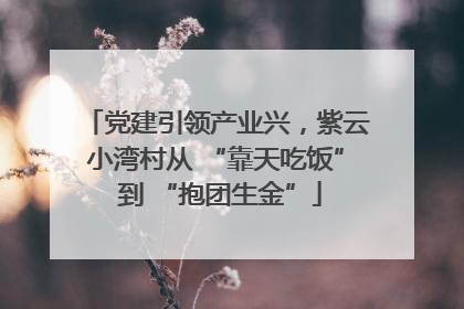 党建引领产业兴，紫云小湾村从 “靠天吃饭” 到 “抱团生金”