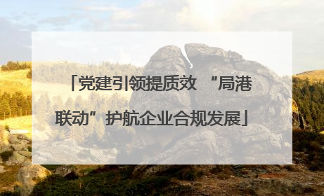 党建引领提质效 “局港联动”护航企业合规发展