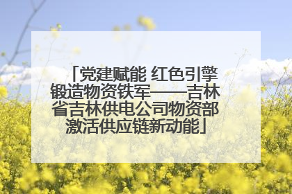 党建赋能 红色引擎锻造物资铁军——吉林省吉林供电公司物资部激活供应链新动能