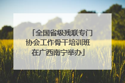 全国省级残联专门协会工作骨干培训班在广西南宁举办