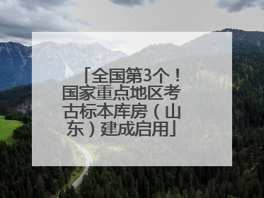 全国第3个！国家重点地区考古标本库房（山东）建成启用