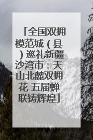 全国双拥模范城（县）巡礼新疆沙湾市：天山北麓双拥花 五届蝉联铸辉煌