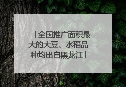 全国推广面积最大的大豆、水稻品种均出自黑龙江