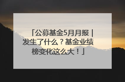 公募基金5月月报｜发生了什么？基金业绩榜变化这么大！
