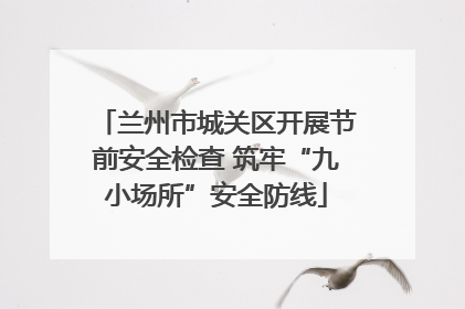兰州市城关区开展节前安全检查 筑牢“九小场所”安全防线