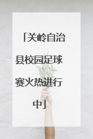 关岭自治县校园足球赛火热进行中
