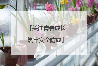 关注青春成长 筑牢安全防线