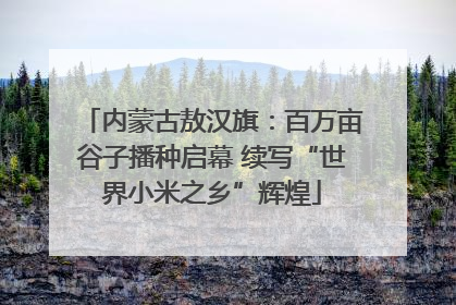 内蒙古敖汉旗：百万亩谷子播种启幕 续写“世界小米之乡”辉煌