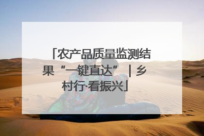 农产品质量监测结果“一键直达”｜乡村行·看振兴
