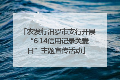农发行汨罗市支行开展“6·14信用记录关爱日”主题宣传活动