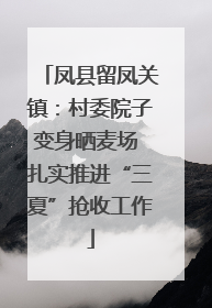 凤县留凤关镇：村委院子变身晒麦场 扎实推进“三夏”抢收工作
