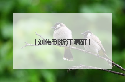 刘伟到浙江调研