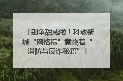 别争甜咸啦！科教新城“网格粽”竟藏着“消防与反诈秘籍”