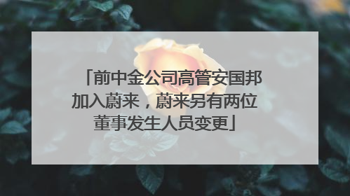 前中金公司高管安国邦加入蔚来，蔚来另有两位董事发生人员变更