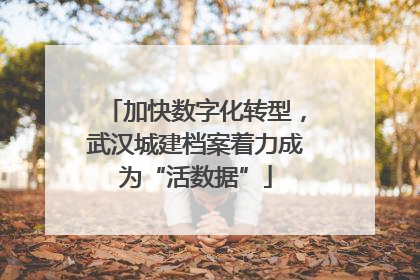 加快数字化转型，武汉城建档案着力成为“活数据”