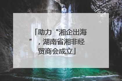 助力“湘企出海”，湖南省湘非经贸商会成立