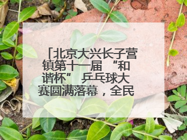 北京大兴长子营镇第十一届 “和谐杯” 乒乓球大赛圆满落幕，全民运动热潮涌动