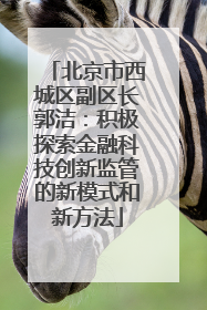 北京市西城区副区长郭洁：积极探索金融科技创新监管的新模式和新方法