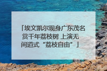 埃文凯尔现身广东茂名 赏千年荔枝树 上演无间道式“荔枝自由”