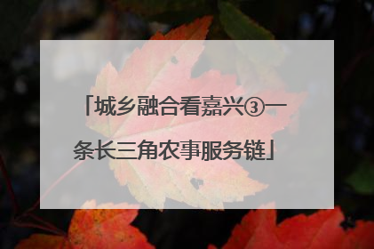 城乡融合看嘉兴③一条长三角农事服务链