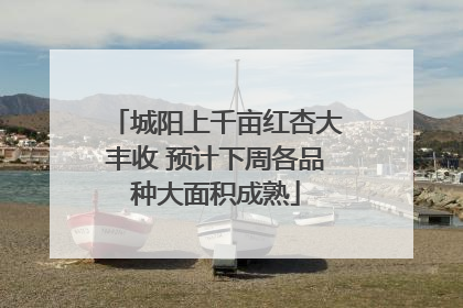 城阳上千亩红杏大丰收 预计下周各品种大面积成熟