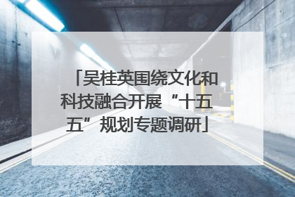 吴桂英围绕文化和科技融合开展“十五五”规划专题调研
