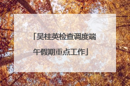 吴桂英检查调度端午假期重点工作