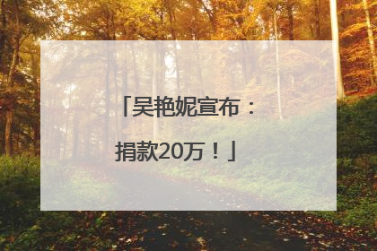 吴艳妮宣布：捐款20万！