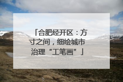 合肥经开区：方寸之间，细绘城市治理“工笔画”