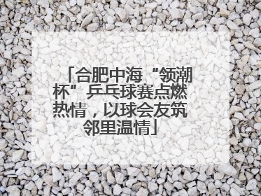 合肥中海“领潮杯”乒乓球赛点燃热情，以球会友筑邻里温情