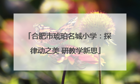 合肥市琥珀名城小学：探律动之美 研教学新思