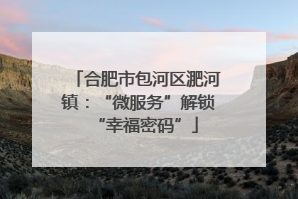 合肥市包河区淝河镇：“微服务”解锁“幸福密码”