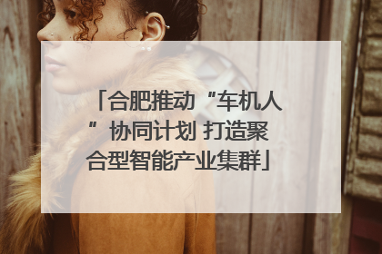 合肥推动“车机人”协同计划 打造聚合型智能产业集群