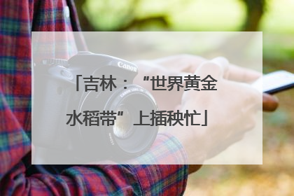 吉林：“世界黄金水稻带”上插秧忙