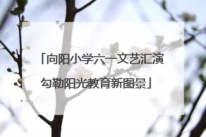向阳小学六一文艺汇演勾勒阳光教育新图景
